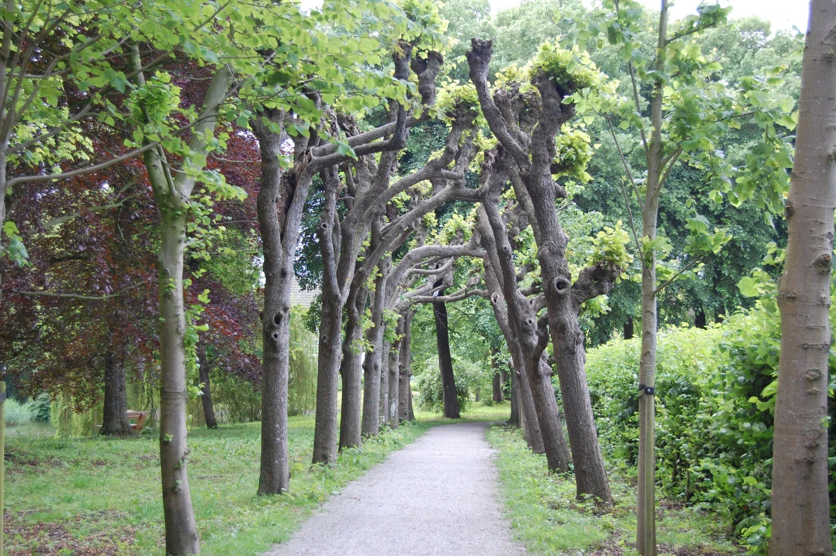 photo - Stichting Monumentenzorg Leeuwarderadeel