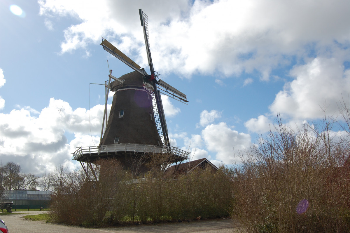 photo - Stichting Monumentenzorg Leeuwarderadeel