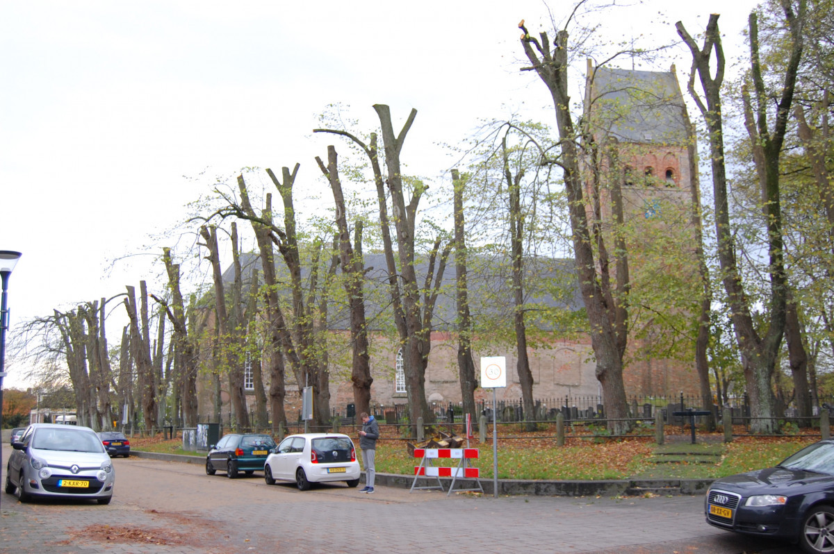 photo - Stichting Monumentenzorg Leeuwarderadeel
